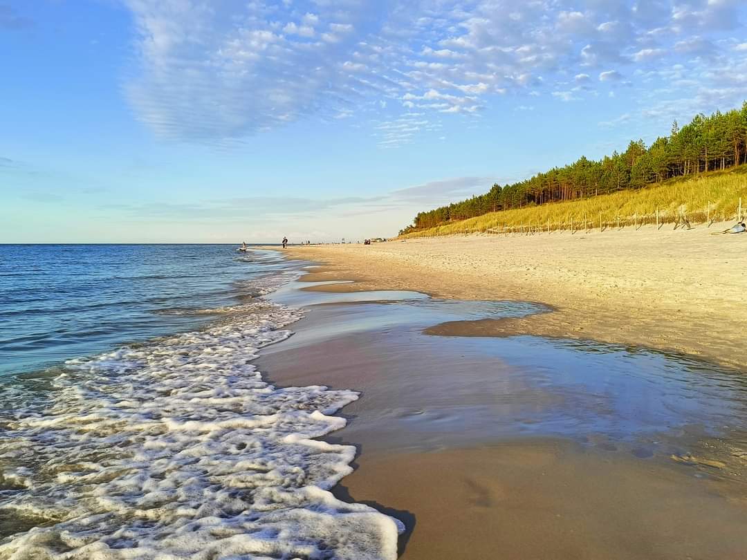 Meduza - komfortowo wyposażone apartamenty i domki nad morzem