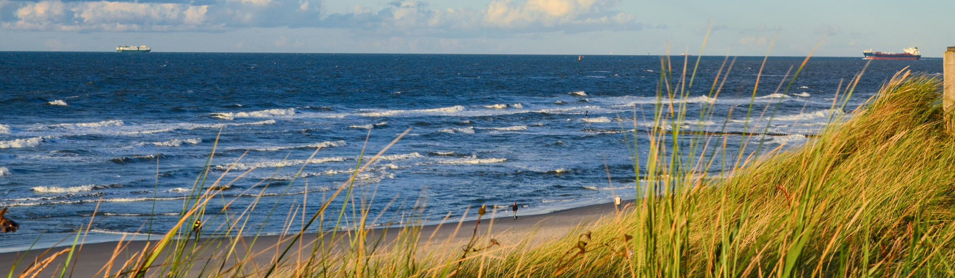 Meduza - komfortowo wyposażone apartamenty i domki nad morzem