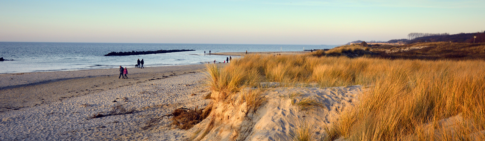 Wschodnia, spokojna część Białogóry w pobliżu lasu.